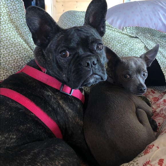 Shop Posh - Picture 2 of 2